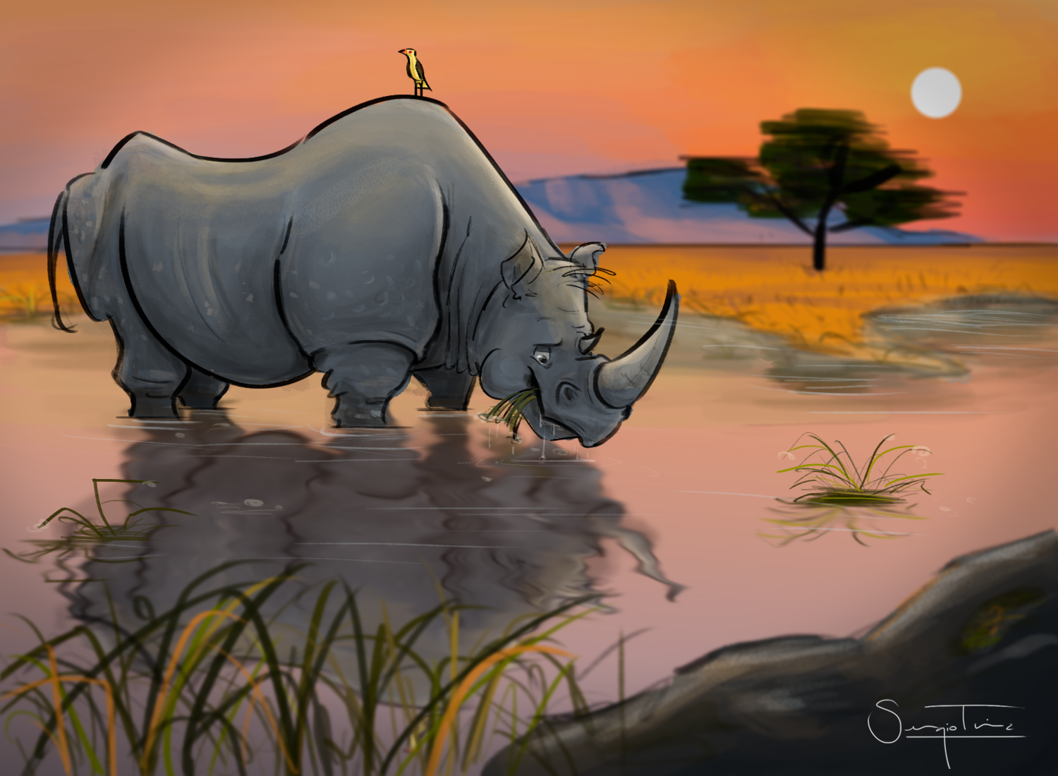 Illustration of a Rhinoceros made by Sergio Triana